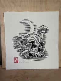 ‘ Rebirth ‘