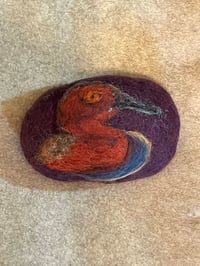Image 1 of Cinnamon Teal