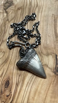 Image 1 of ‘ shark tooth ‘