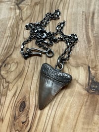 Image 3 of ‘ shark tooth ‘