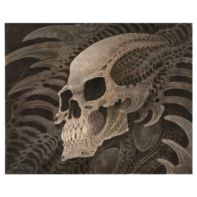 Print-BioMec Skull