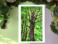 Art Print - Green Tree