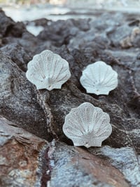 Image 3 of La coquille Saint-Jacques, broche en cuir
