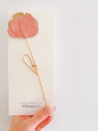 Image 5 of La pivoine - fleur de peau à la tige