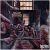 INNOCENT DECOMPOSURE - INCOGNITIVE CRAVE TO FORNICATE EUPHORIA [CD]