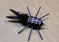 Image of Mini Boga Bug