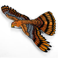 Cooper's Hawk painted woodcut**FREE SHIPPING**