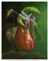 Botanical Metamorphosis Print