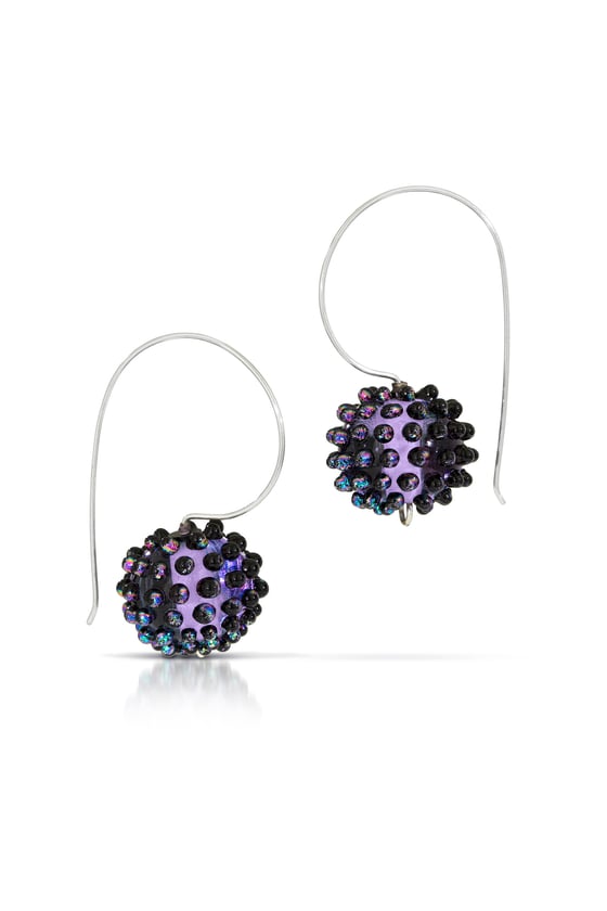 Image of Meteorite Earrings