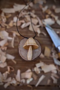 Image 2 of Mushroom 
