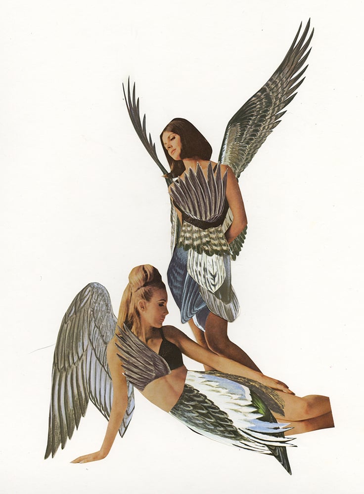 Image of When Women Were Birds - limited edition print