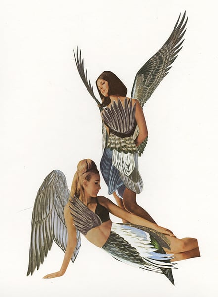 Image of When Women Were Birds - limited edition print