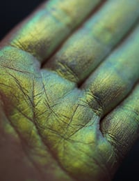 Image 6 of 12 Whispering Willow