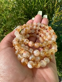Image 1 of Clear Orange 