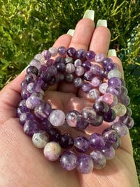 Image 1 of Purple b