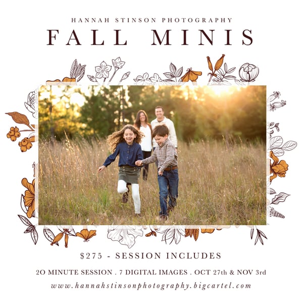 Image of 2024 Fall Mini Session - Nov 3rd