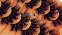 Image 2 of Fall Lash Collection 