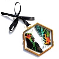 Image 1 of Sunset Moth Glass Hexagon Hanging Decoration