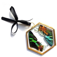 Image 2 of Sunset Moth Glass Hexagon Hanging Decoration