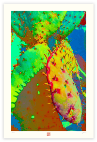 Image 1 of SPACE CACTUS (36X24)