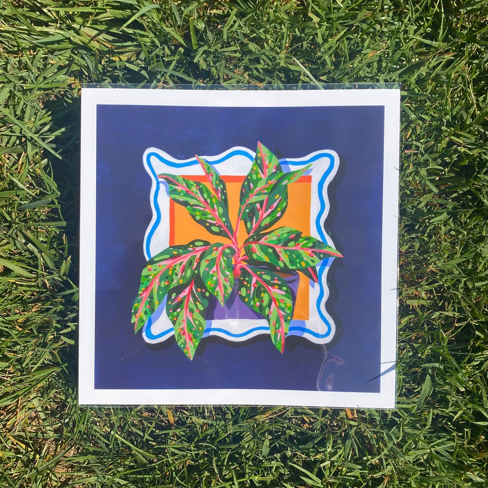 Image of 'Algaonema' Plant Portrait Print