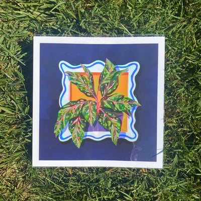 Image of 'Algaonema' Plant Portrait Print