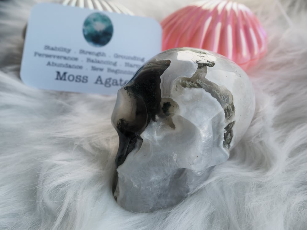 Image of Moss Agate Skull 352g