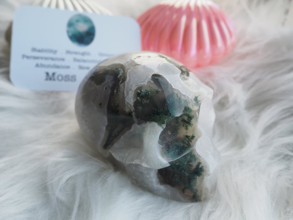 Image of Moss Agate Skull 352g