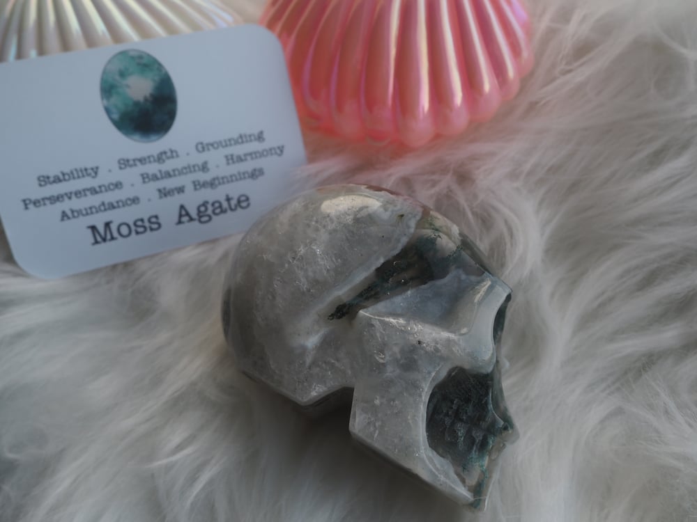 Image of Moss Agate Skull 352g