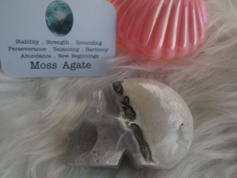 Image of Moss Agate Skull 352g