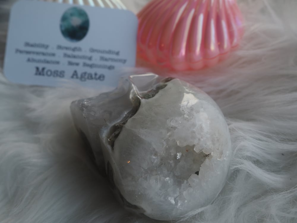 Image of Moss Agate Skull 352g