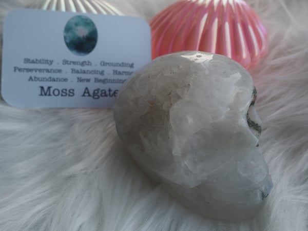 Image of Moss Agate Skull 361g