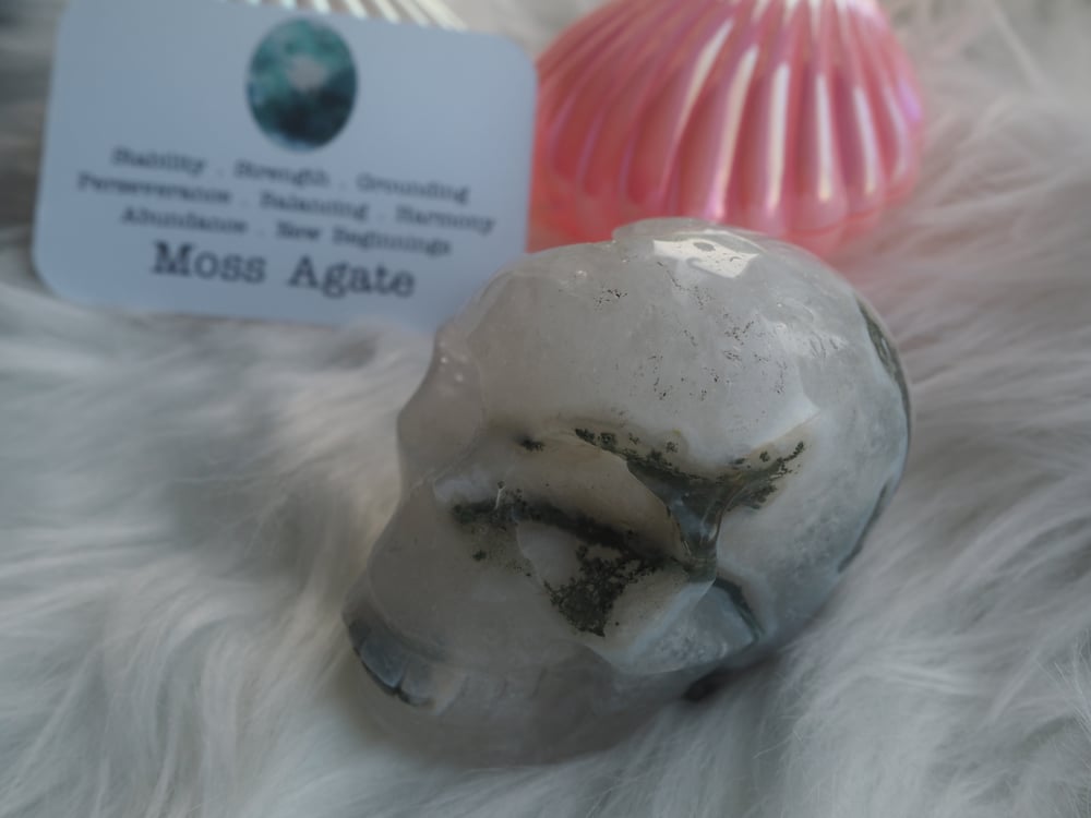 Image of Moss Agate Skull 361g