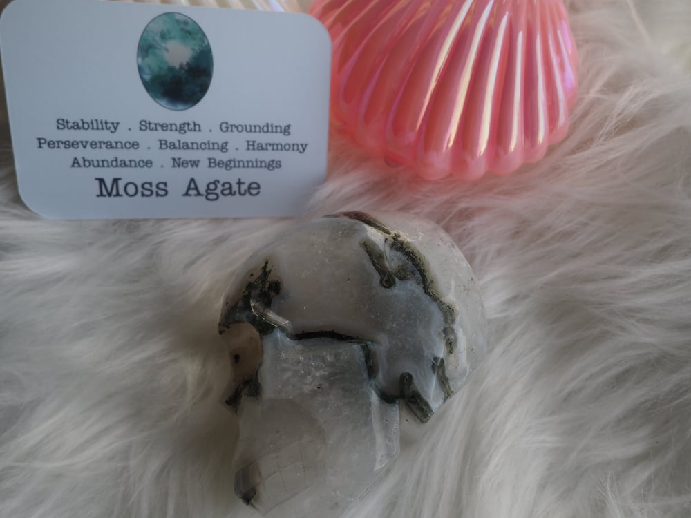 Image of Moss Agate Skull 361g