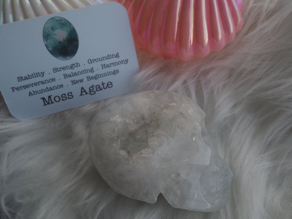 Image of Moss Agate Skull 361g