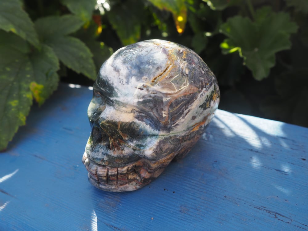 Image of Ocean Jasper Skull 303g