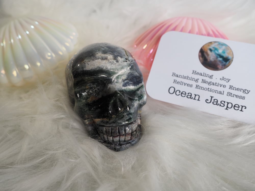 Image of Ocean Jasper Skull 303g