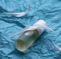 Image 3 of Sandal perfume