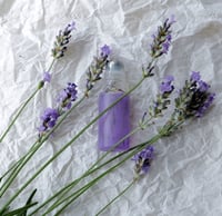 Image 2 of LAVANDA perfume