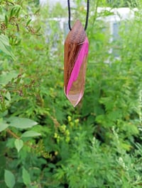 Image 2 of Epoxy resin and wood pendant