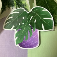 Image 1 of Monstera Waterproof Vinyl Sticker