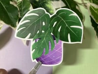 Image 2 of Monstera Waterproof Vinyl Sticker