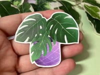 Image 3 of Monstera Waterproof Vinyl Sticker