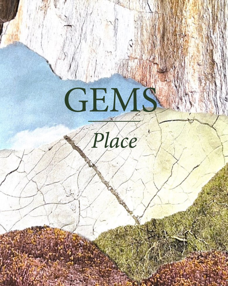 Image of Gems Place zine