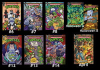 TMNT Saturday Morning Adventures Issues