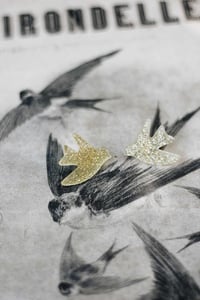 Image 5 of SWALLOWS
