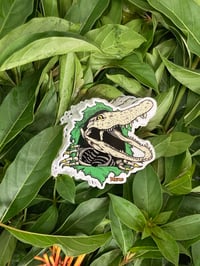 Green Gator Ripper sticker