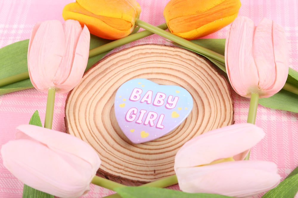 Image of Baby Girl Heart Pin 