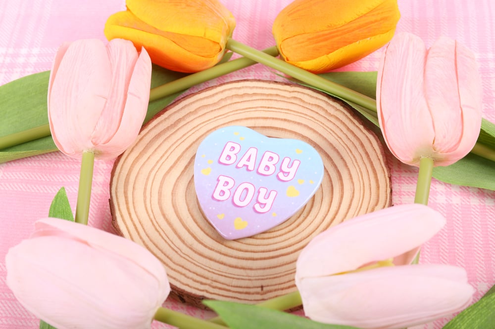 Image of Baby Boy Heart Pin