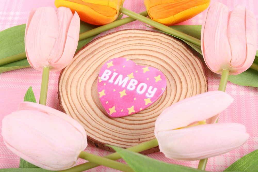 Image of Bimboy Heart Pin